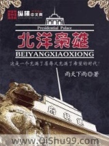 北洋枭雄小说