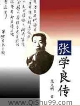 张学良传小说