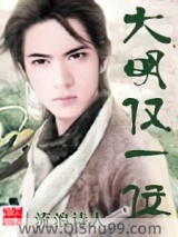 大明仅一位小说