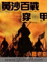 黄沙百战穿金甲小说