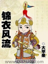 锦衣风流小说