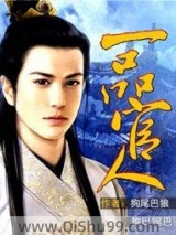 一品官人小说