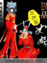 极品女婿小说