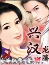 兴汉龙腾小说