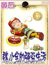 魏小宝的强盗生活小说