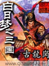 白日梦之三国小说
