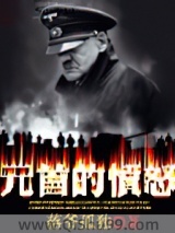 元首的愤怒小说