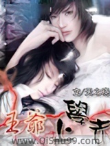 王爷，上学去小说