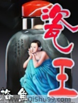 瓷王小说