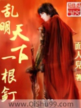 乱明天下一根钉小说