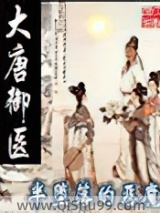 大唐御医小说