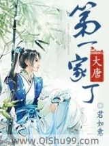 大唐第一家丁小说