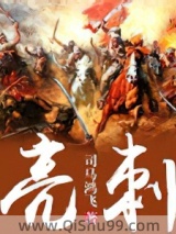亮刺小说