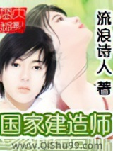 国家建造师小说