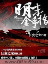 明末金手指小说