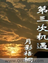 第三次机遇小说
