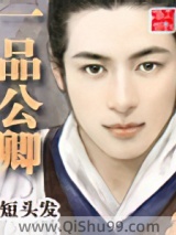 一品公卿小说
