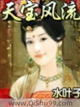 天宝风流小说