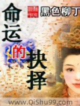 命运的抉择小说