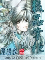 极品掌柜小说