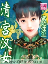 清宫汉女小说