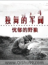 独舞的军阀小说