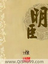 明臣小说