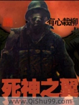 死神之翼小说