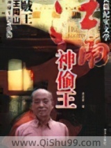 江南神偷王小说