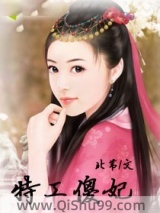 特工傻妃小说