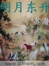 明月东升小说