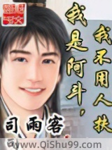 我是阿斗，我不用人扶小说