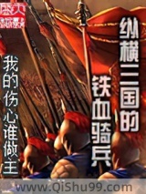 纵横三国的铁血骑兵小说
