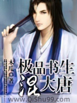 极品书生混大唐小说
