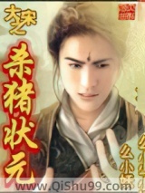 大宋之杀猪状元小说