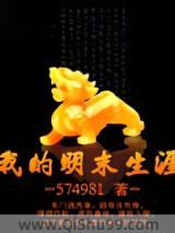 我的明末生涯小说