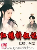 红楼折钗记小说