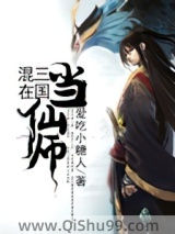 混在三国当仙师小说