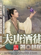 大唐酒徒小说