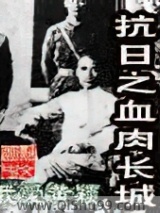 抗日之血肉长城小说