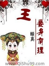 王，妾身有理！小说