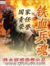 铁血兵魂小说