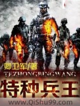 特种兵王小说