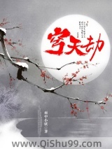 穹天劫小说