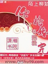 你丫抢婚有完没完小说