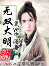 无双大明小说