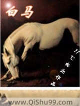 白马小说