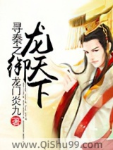 寻秦之龙御天下小说