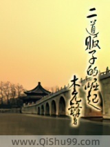 二道贩子的崛起小说