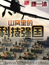 山窝里的科技强国小说